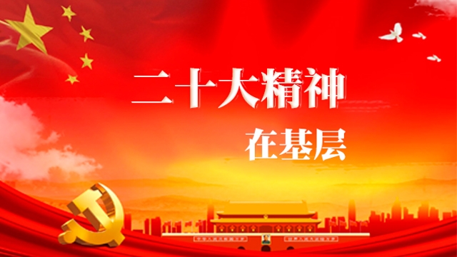 二十大精神在基層