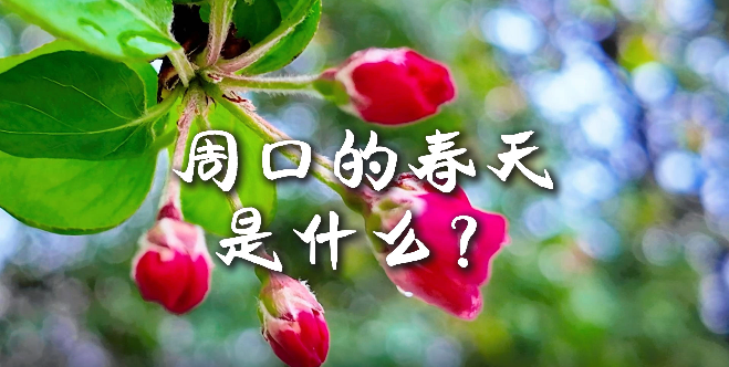 周口的春天，待你慢慢遇見