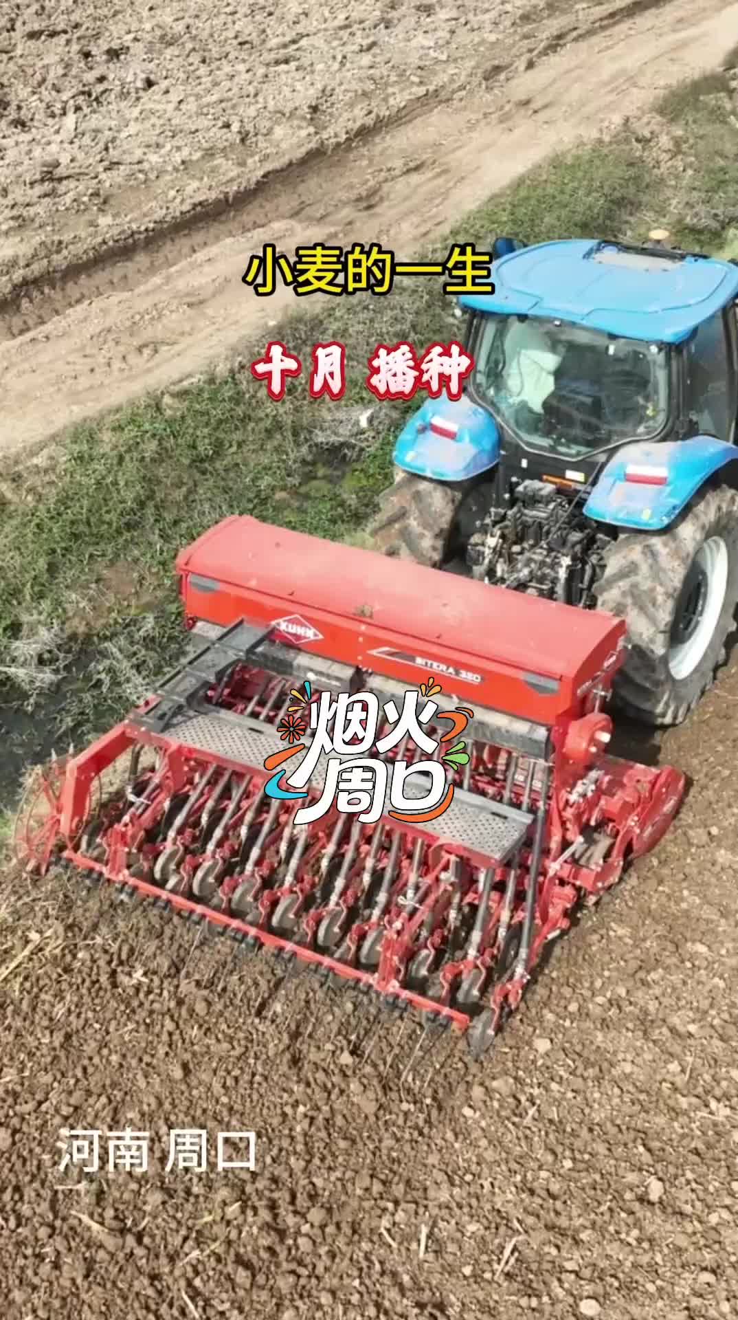 沉浸式感受小麥生長的力量